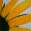 IMG_0244 Black-eyed Susan done in watercolor.