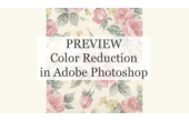CraftArtEdu Frederick Chipkin Color Reduction - Adobe Photoshop