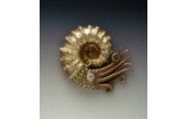 CraftArtEdu Gordon Uyehara Bronze and Copper Clay Ammonite Pendant